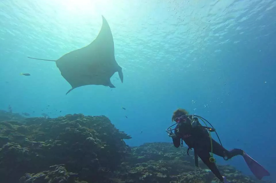 Try an Introduction Diving Course in Ishigaki Island