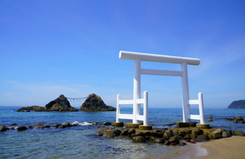 YokaBus Nanzoin Bronze Buddha and Itoshima Totoro Forest & Sakurai Futamigaura