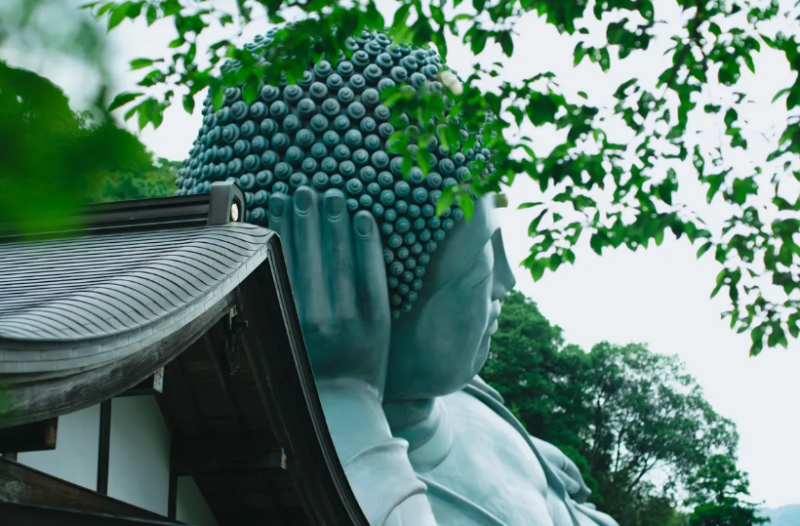 YokaBus Nanzoin Bronze Buddha and Itoshima Totoro Forest & Sakurai Futamigaura