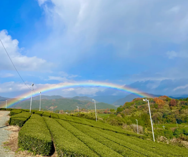 activity_detail_image