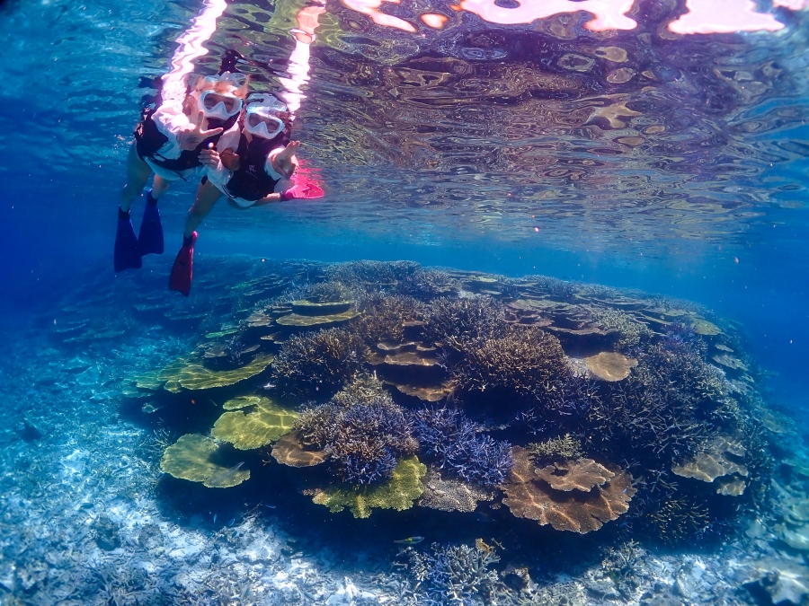 activity_detail_image