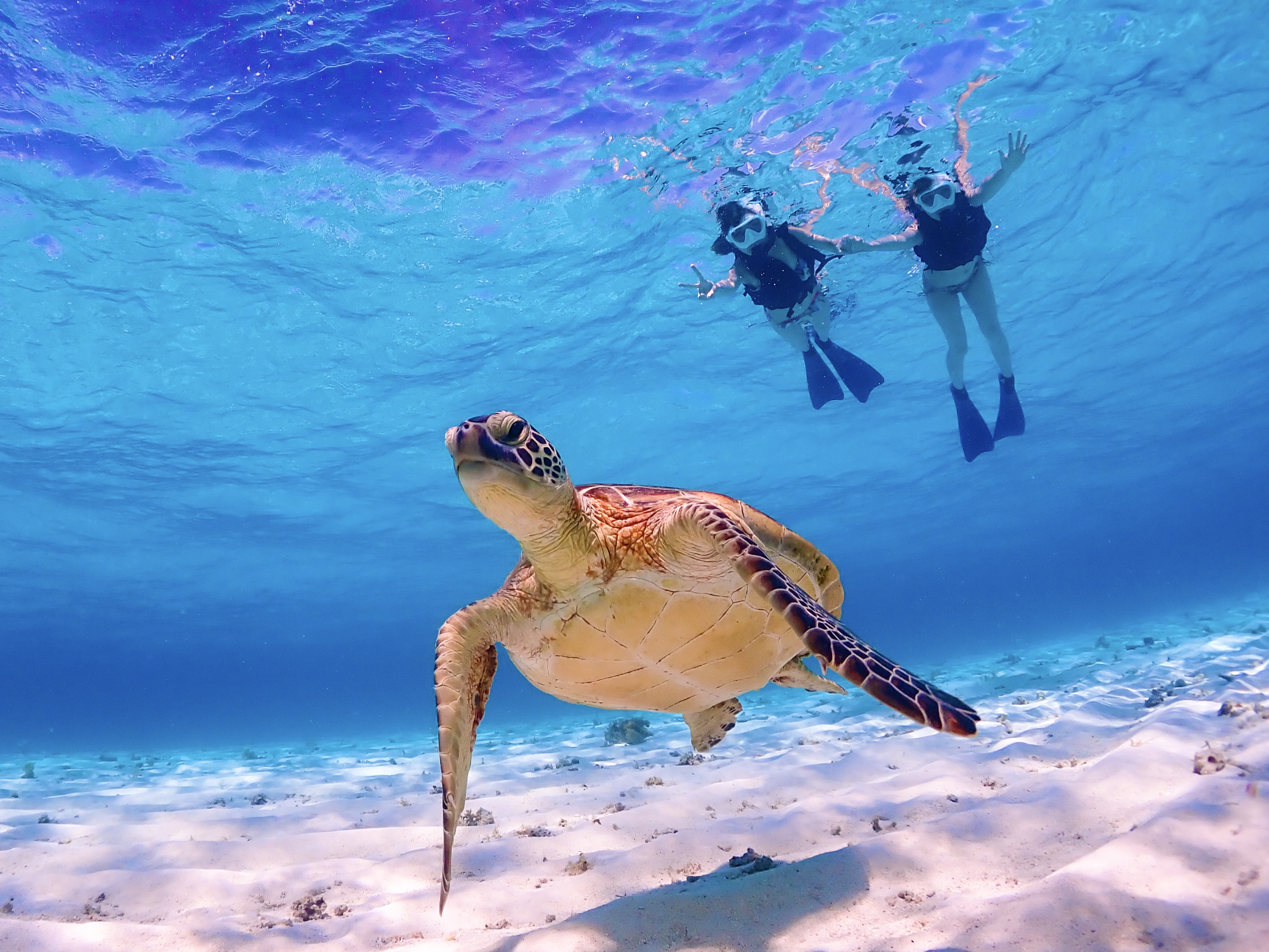 activity_detail_image