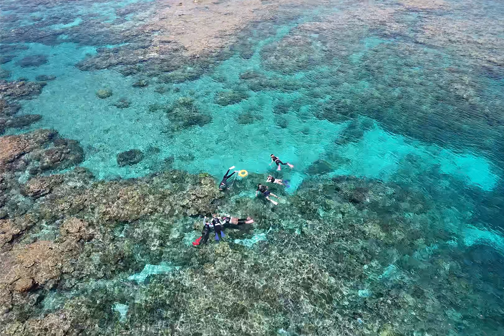 activity_detail_image