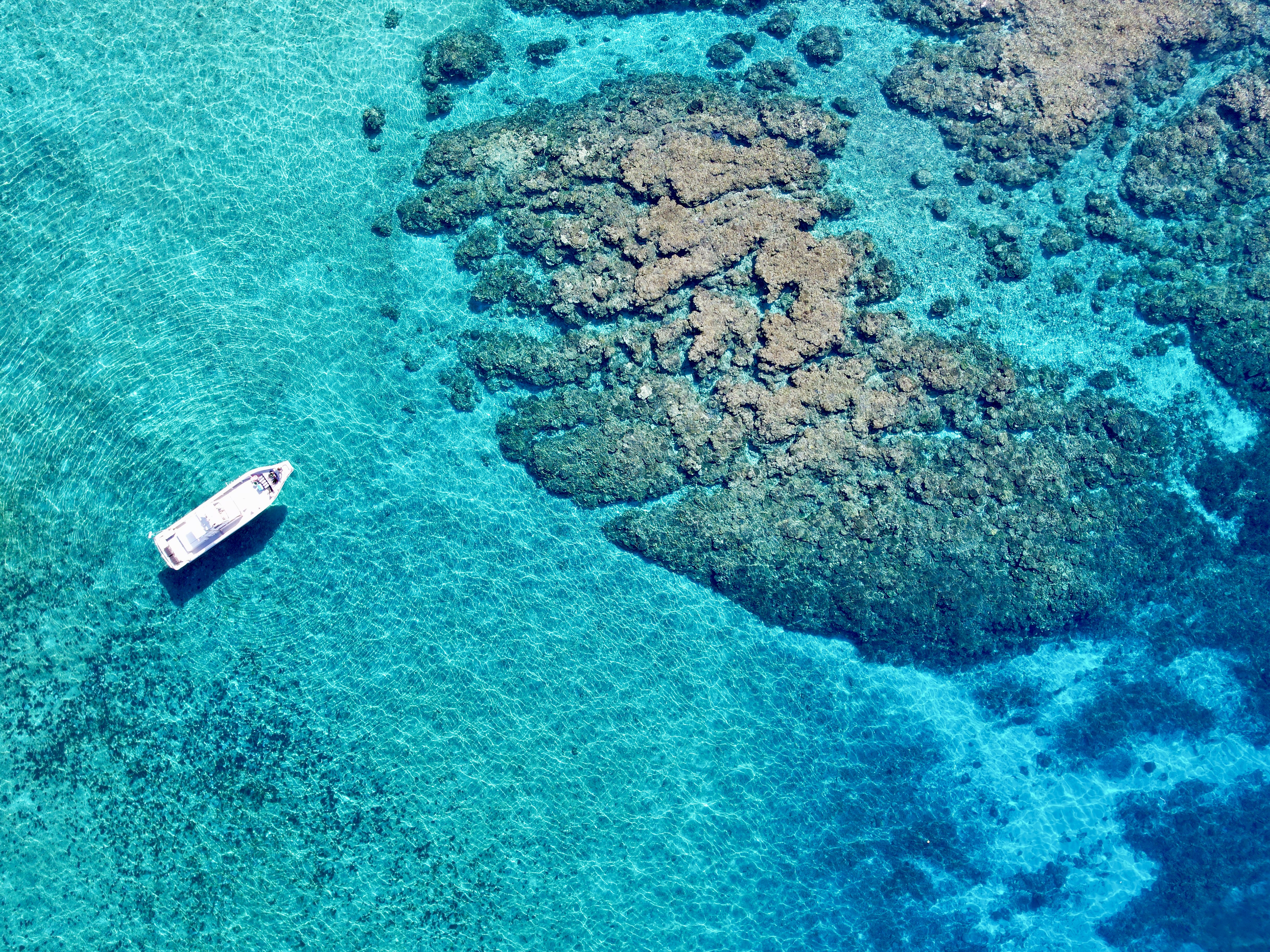 [독점할인] 미야코지마 야비지 스노클링 투어 - 보트 스노클링, 드론 촬영