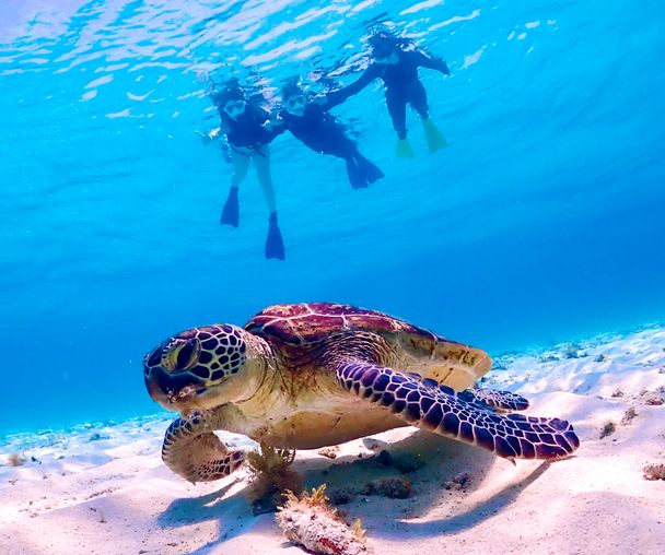 activity_detail_image