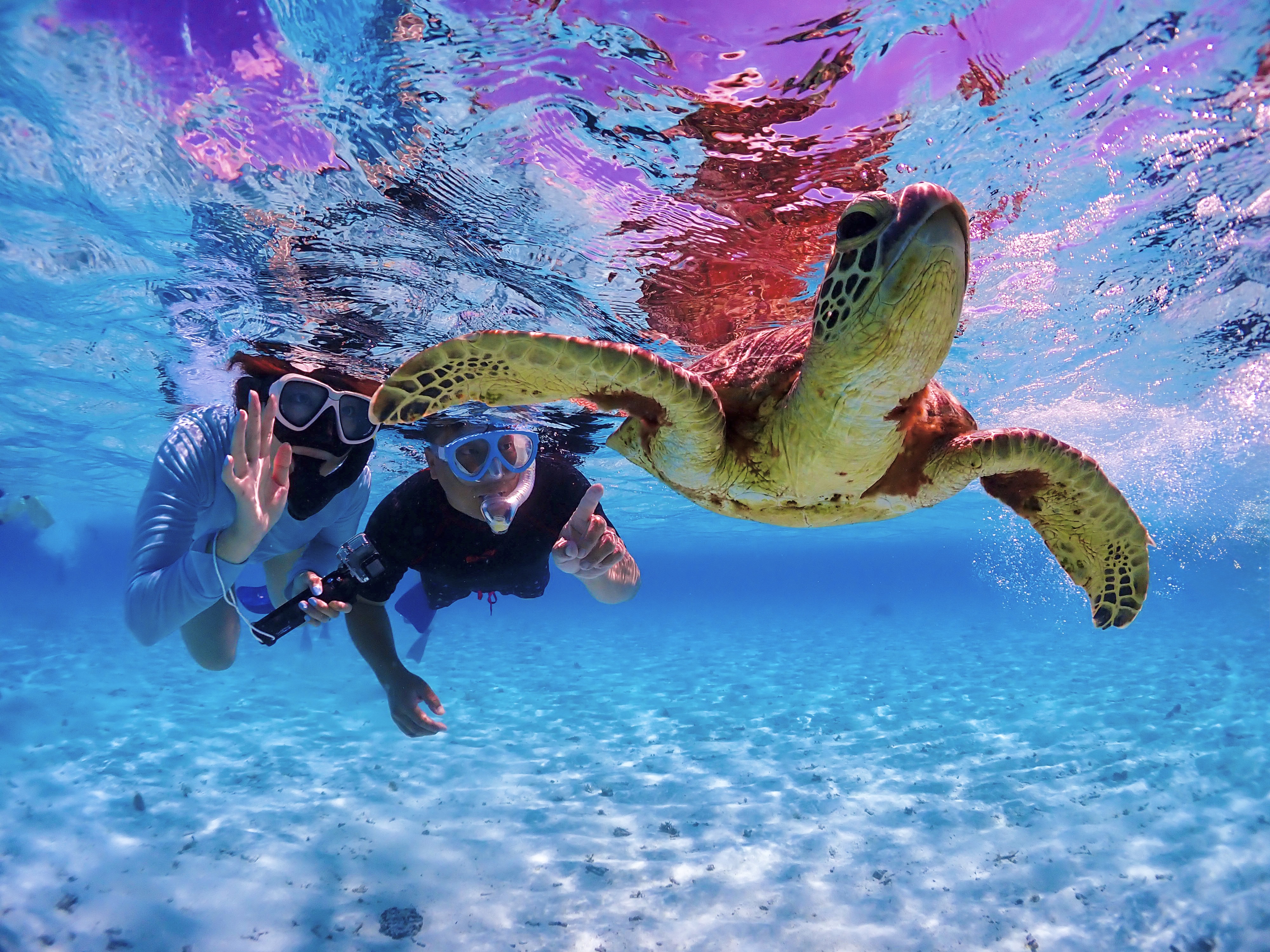 activity_detail_image