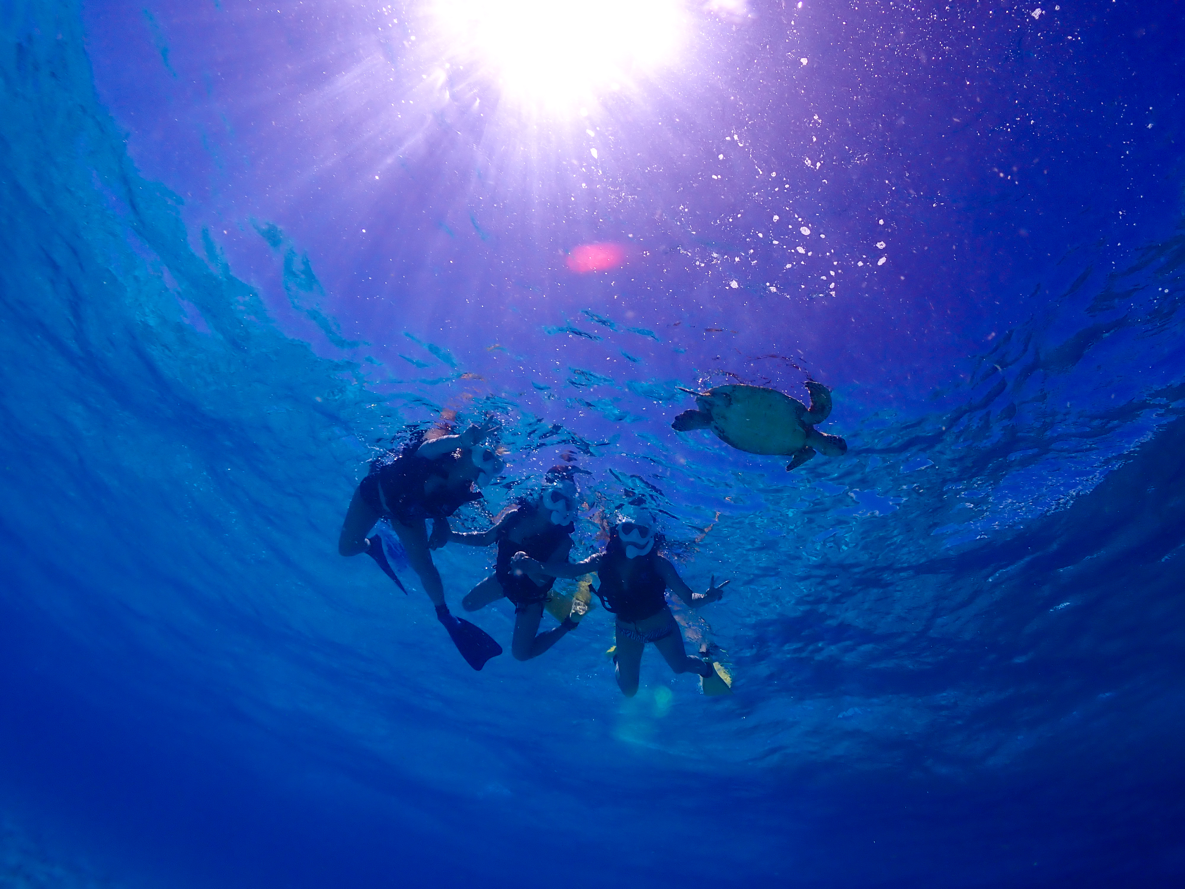 activity_detail_image