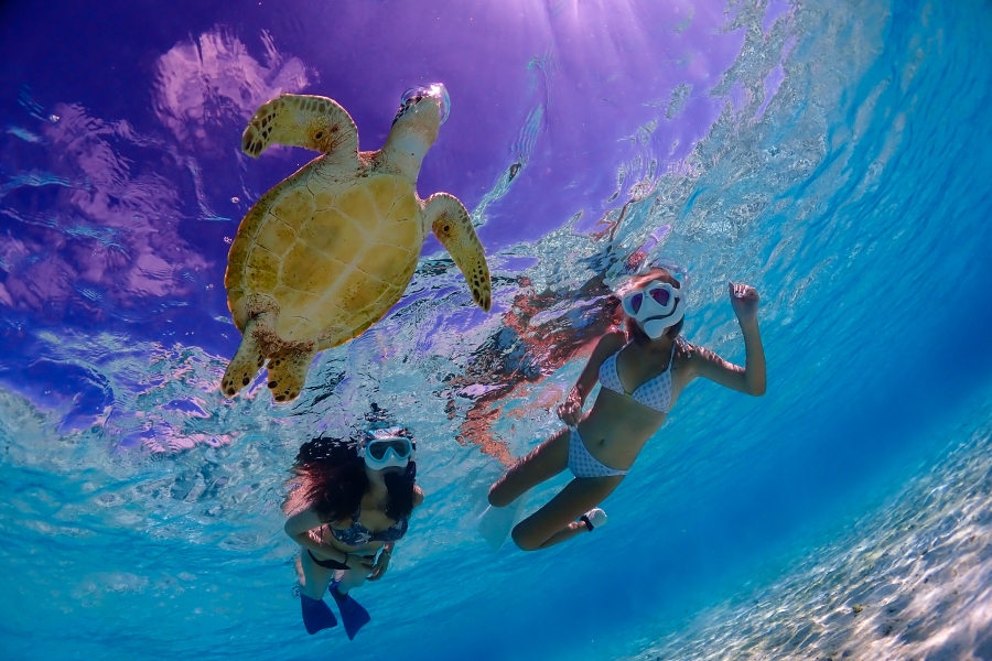 activity_detail_image