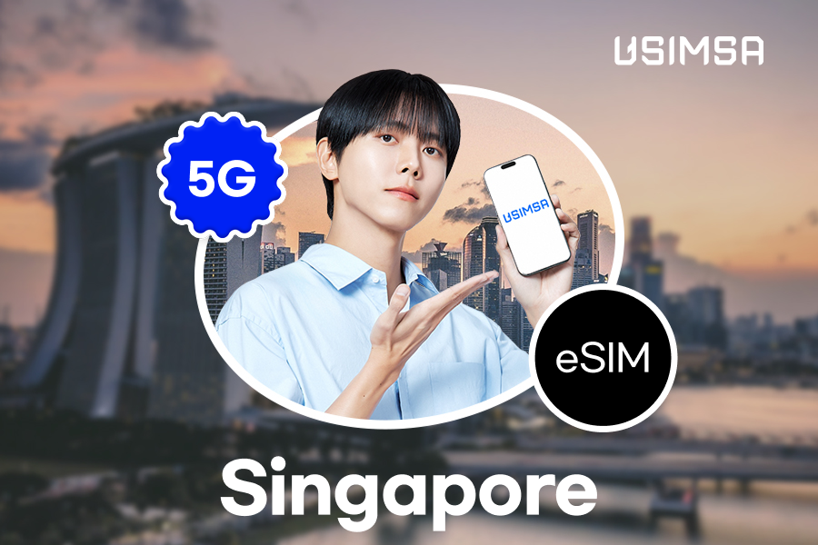 [10%割引 / 即時配信] シンガポール eSIM (データ無制限)