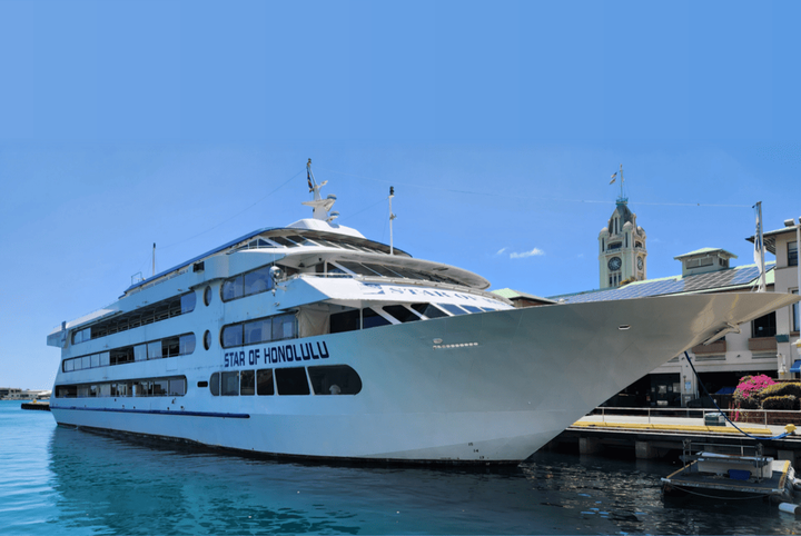 하와이 오아후 시티 투어 (핵심 명소 / 한국인 전문 가이드)