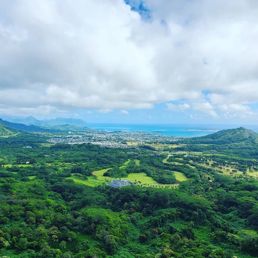 하와이 팔리 전망대 + 월마트 쇼핑 + 호놀룰루 단독투어