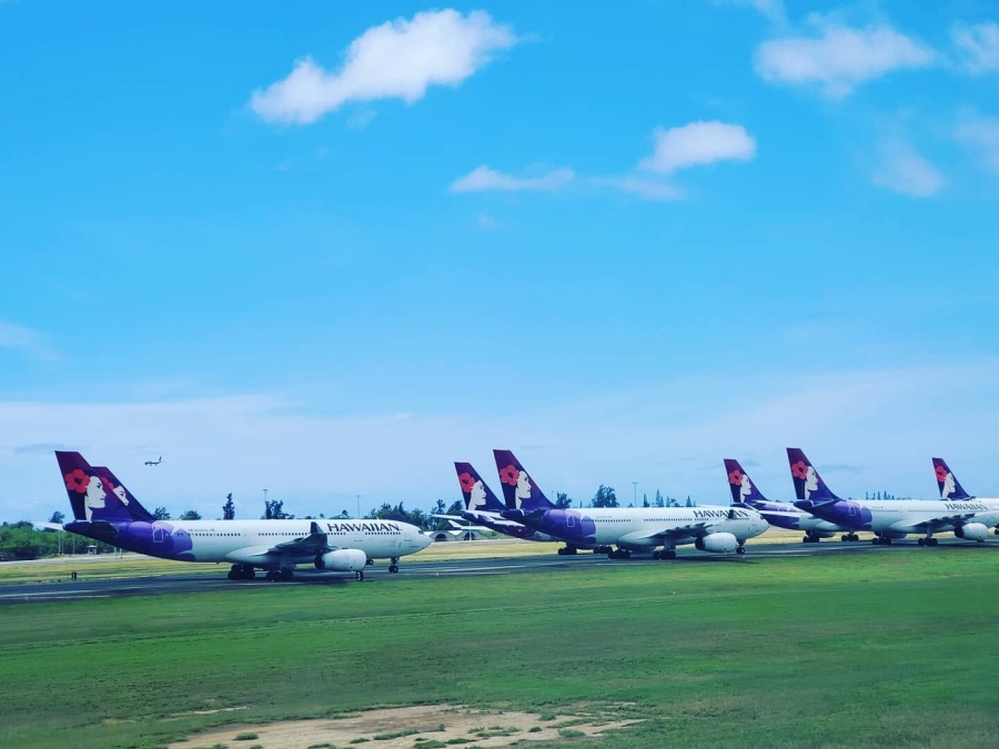 하와이 팔리 전망대 + 월마트 쇼핑 + 호놀룰루 단독투어