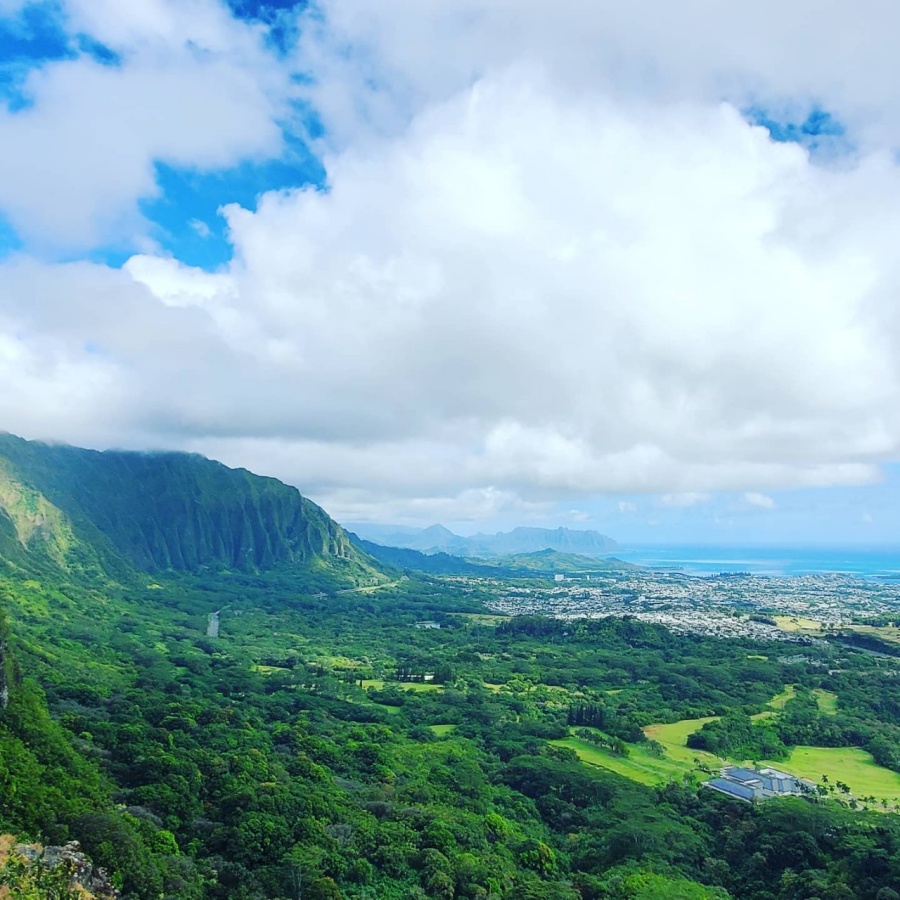 하와이 팔리 전망대 + 월마트 쇼핑 + 호놀룰루 단독투어