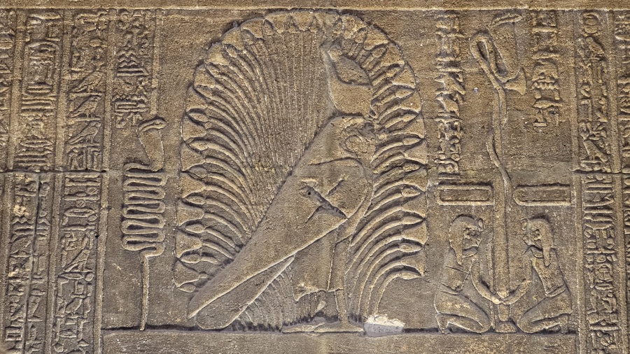 activity_detail_image