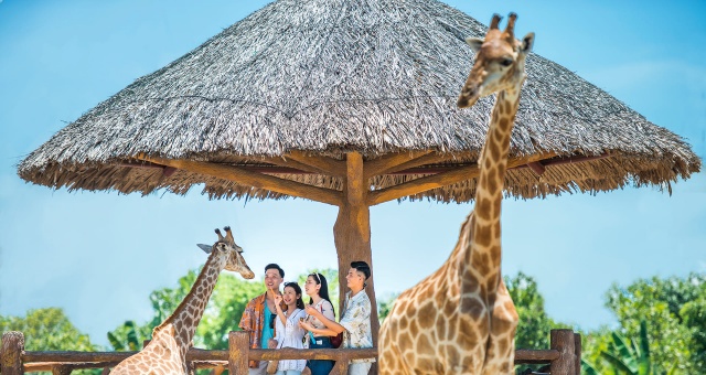 [피크타임] 다낭 체크아웃 단독 투어 - 바나힐, 빈원더스, 호이안 바구니배, 시내 관광