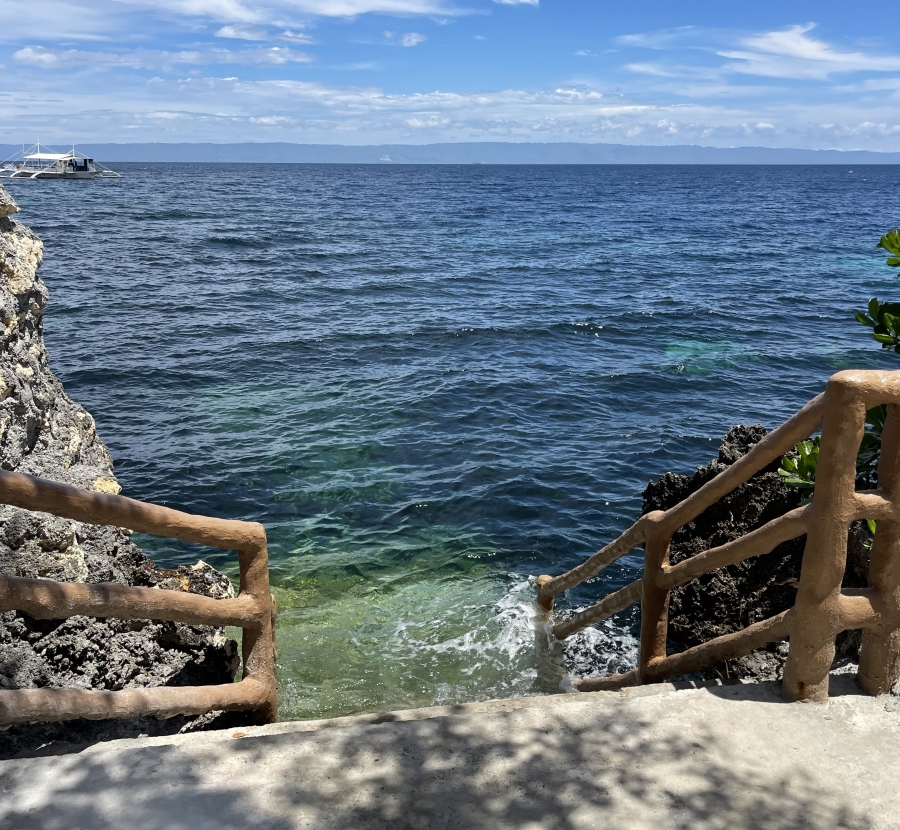 [50% 할인] 보홀 마델린 나팔링 정어리떼 스노클링 투어 (현지인 가이드, 포토존 카페)