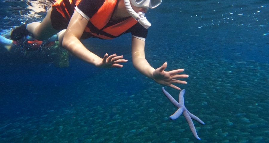 [50% 할인] 보홀 마델린 나팔링 정어리떼 스노클링 투어 (현지인 가이드, 포토존 카페)