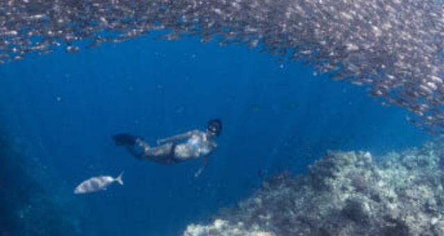 [보홀트래블] 조인 나팔링 투어