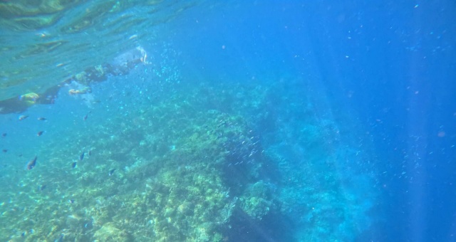 [보홀트래블] 조인 나팔링 투어