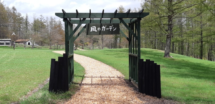 activity_detail_image