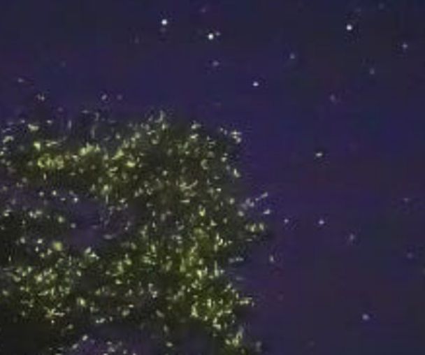 activity_detail_image