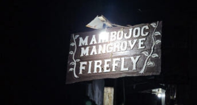 [보홀트래블] 보홀 조인 반딧불 & 노스젠 선셋 투어