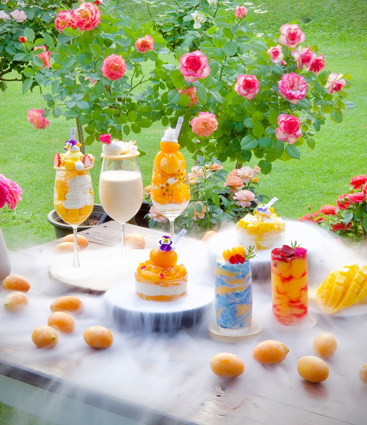 [영화같은 자연경관] 치앙마이 몬쨈 & 알파카 ＆ 플레르 카페 투어