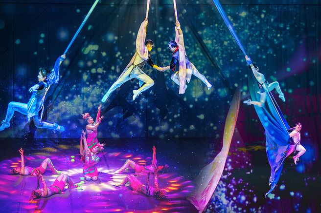 제주 아트서커스 입장권 + 3종혜택