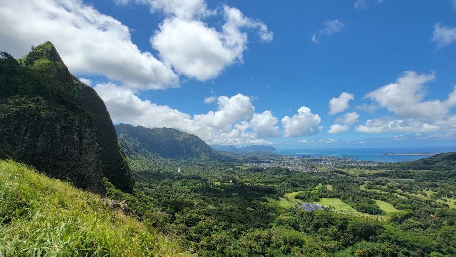 하와이 오아후 전망 명소 4곳 체크인 프라이빗 투어 (공항 / 호텔 출발)