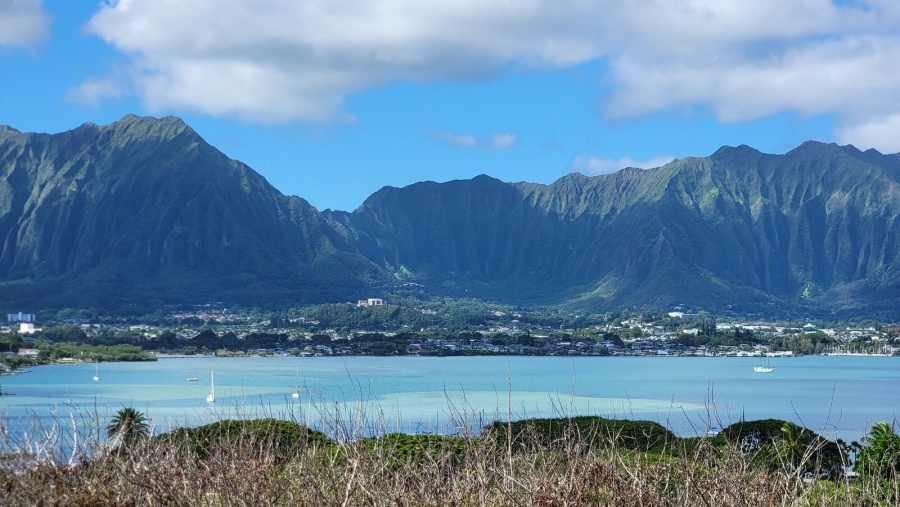하와이 오아후 전망 명소 4곳 체크인 프라이빗 투어 (공항 / 호텔 출발)