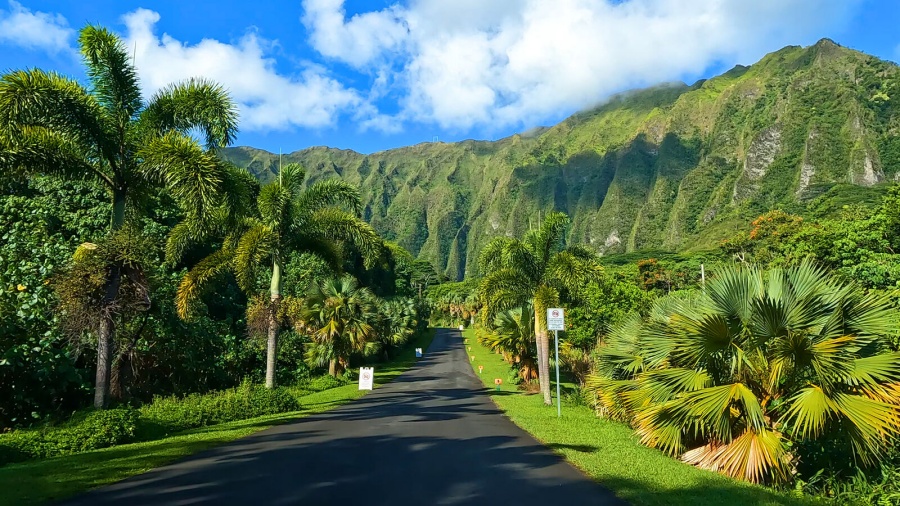 하와이 오아후 전망 명소 4곳 체크인 프라이빗 투어 (공항 / 호텔 출발)