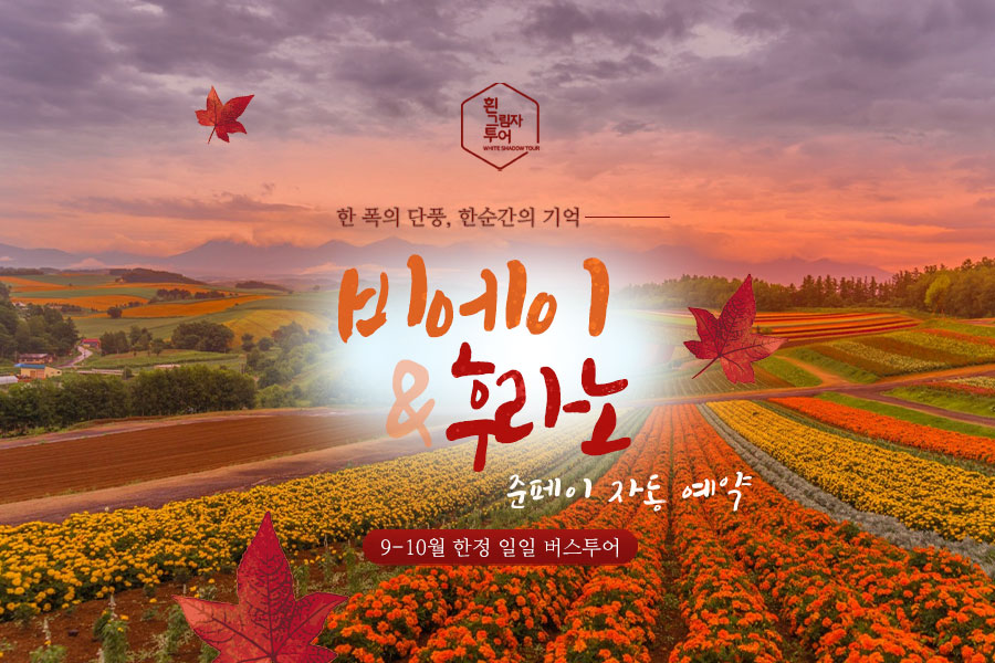 [흰그림자투어] 홋카이도 비에이 & 후라노 버스 투어 - 쥰페이 자동 예약