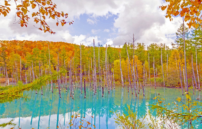 activity_detail_image