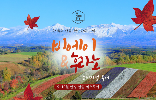 [흰그림자투어] 홋카이도 오리지널 투어 비에이 & 후라노 투어 (스스키노 출발)