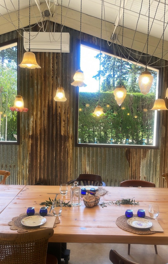 바르셀로나 K-POP 아이돌이 선택한 올리브 농장 & 와이너리 투어