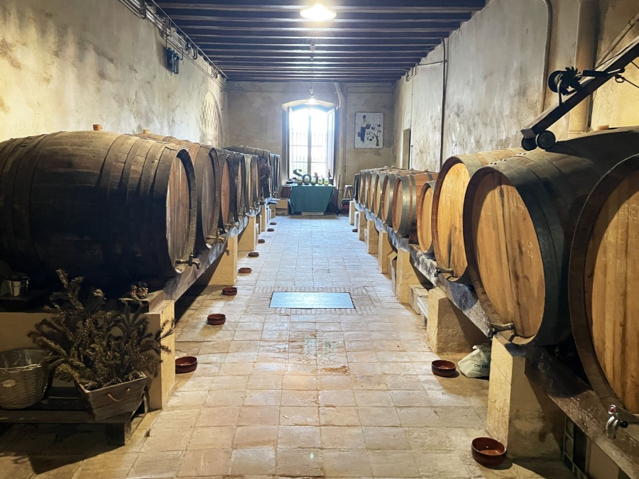 바르셀로나 K-POP 아이돌이 선택한 올리브 농장 & 와이너리 투어