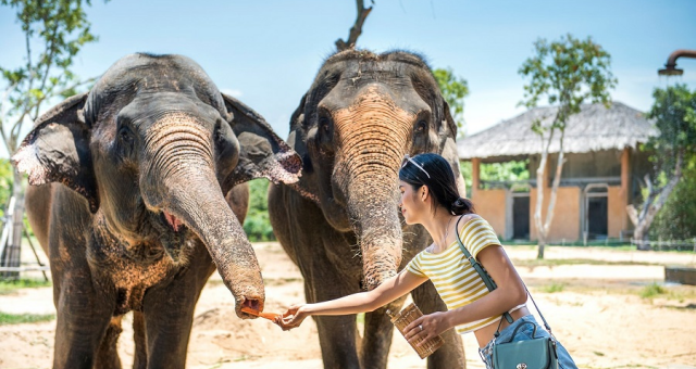 [피크타임] 다낭 호이안 올드타운 & 빈원더스 남호이안 일일투어 단독/조인