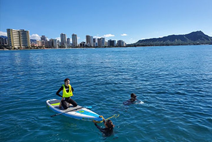 하와이 와이키키 야생 거북이 스노클링 투어 (무스비 제공)