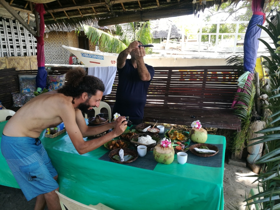 보홀 파밀라칸 야생 거북이 & 돌고래 와칭 투어 (WAUG Exclusive)