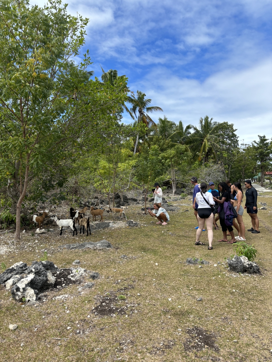 activity_detail_image
