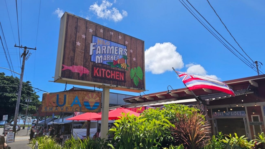 하와이 빅 아일랜드 일일 투어 (한국인 가이드)