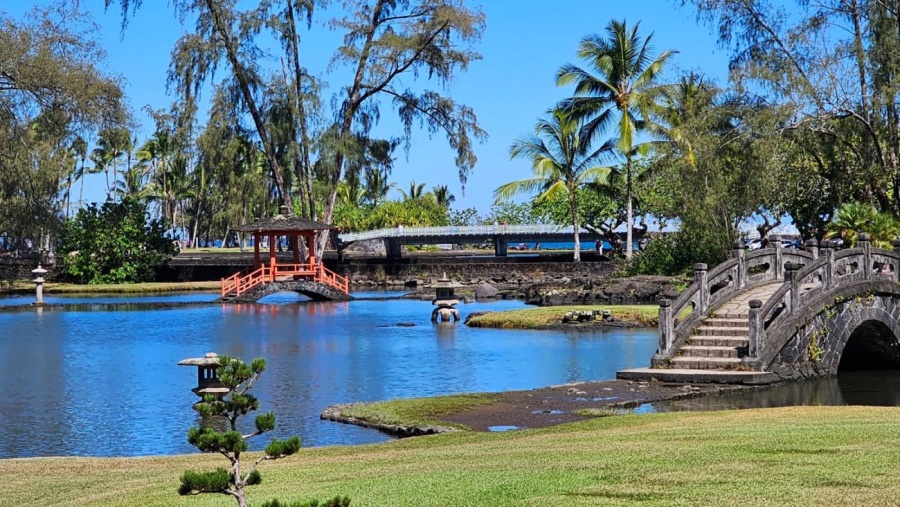 하와이 빅 아일랜드 일일 투어 (한국인 가이드)