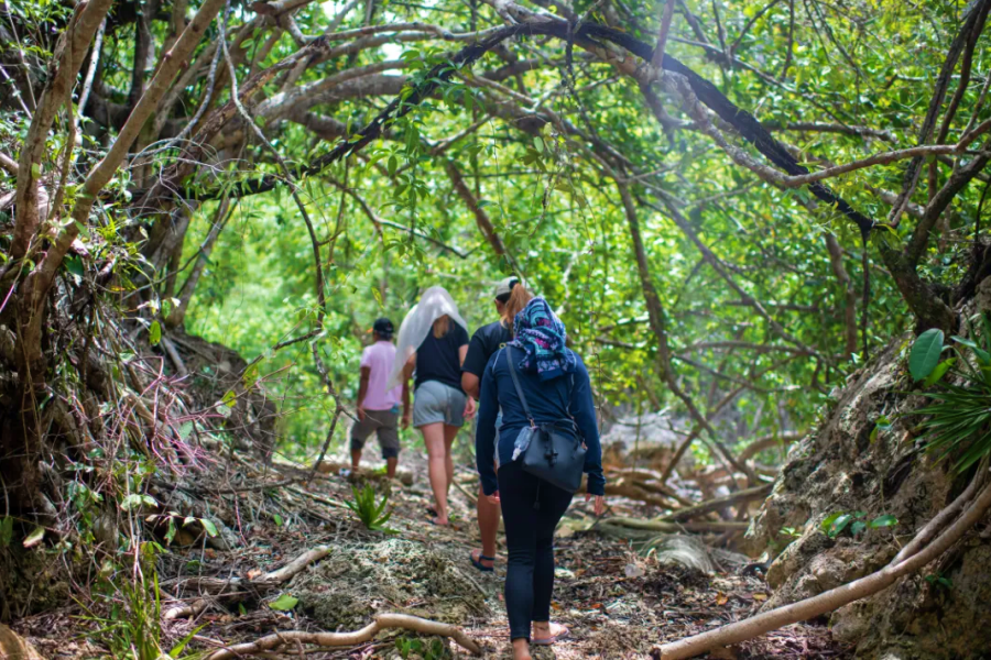 Anda Bohol: Caves, Waterfalls & Cadapdapan Rice Terraces (WAUG Exclusive)