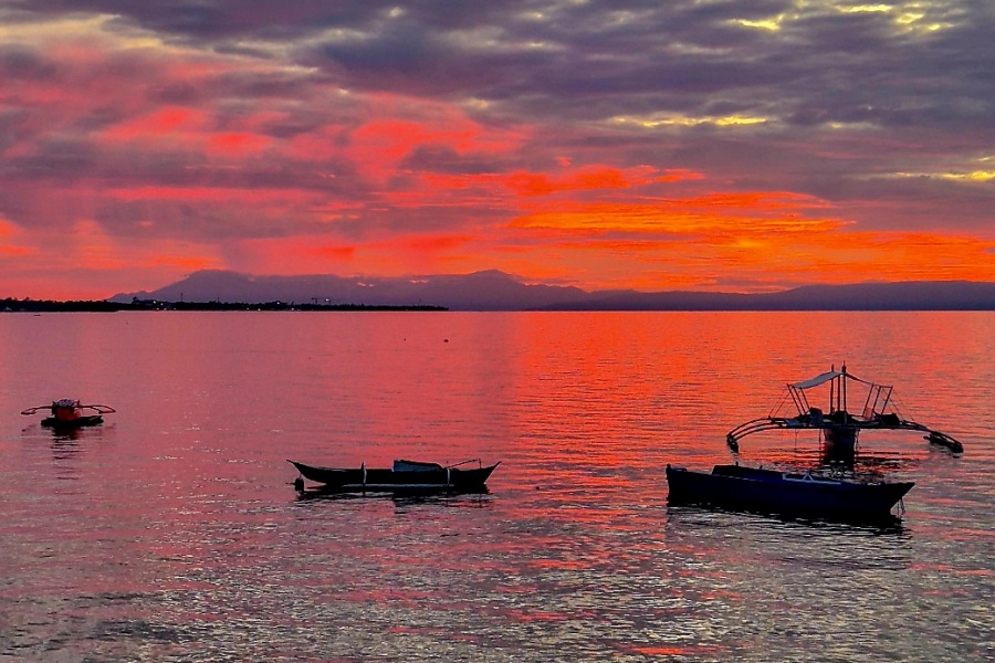 보홀 선셋 & 별빛 낚시 투어