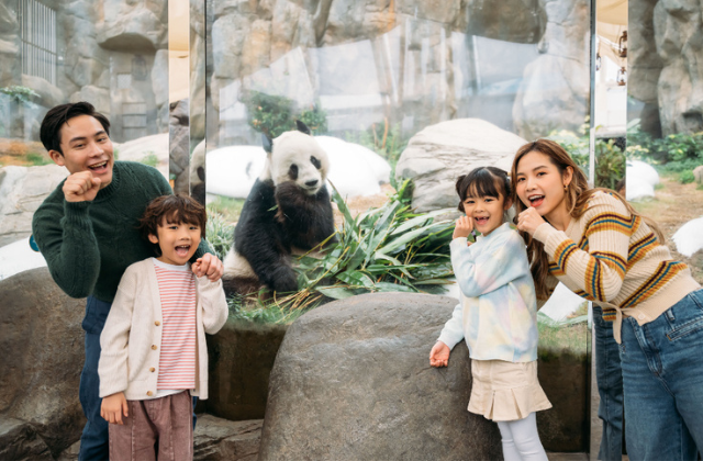 홍콩 오션파크 입장권 (QR코드 즉시 입장)