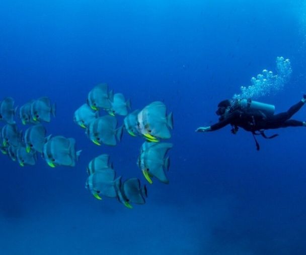 activity_detail_image