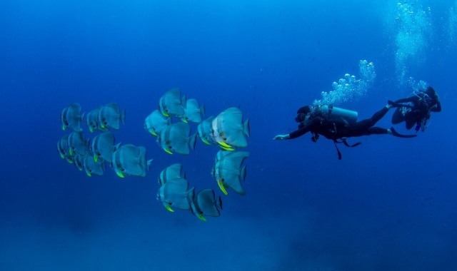 보라카이 체험 스쿠버 다이빙 (초급자 강습)