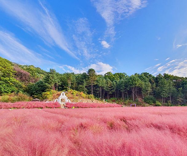 activity_detail_image