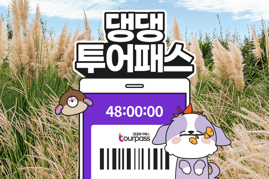 제주 댕댕투어패스 자유이용권 (24시간 / 48시간)
