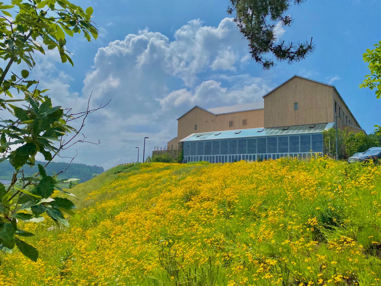 전북 고창 상하농원 딸기 마스터 캠프